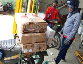 MỰC TRỨNG NHẬP KHẨU YN15 (15 CM UP ) HIỆU MẶT TRỜI