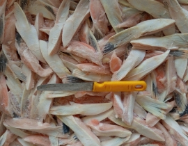 Vây balan nhập khẩu to đỏ đẹp 20kg