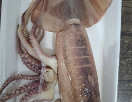 MỰC ỐNG LÀM RUỘT CÒN DA (ĐỎ BỤNG) LÔ NHẬP NGÀY 29/04/2026