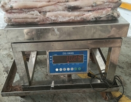 MỰC TRỨNG GHIM 15UP THÙNG 10KG LÔ NHẬP  30/03/2026