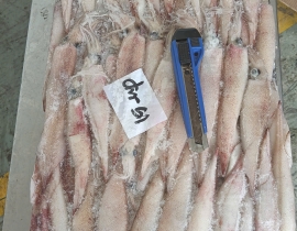 MỰC TRỨNG GHIM 15UP THÙNG 10KG LÔ NHẬP  30/03/2026