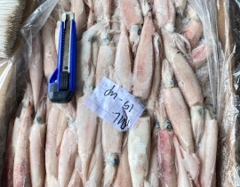 MỰC TRỨNG GHIM 15UP THÙNG 10KG LÔ NHẬP  30/03/2026