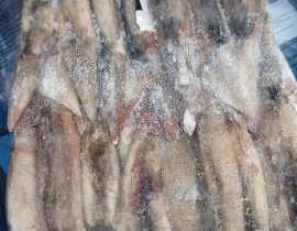 MỰC ỐNG ILEX 200-300G BAO XANH 