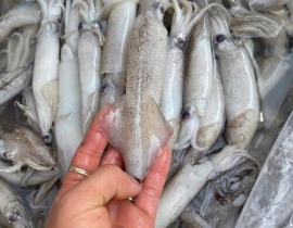MỰC TRỨNG MỸ NHẬP KHẨU HÀNG ĐẸP KHÔNG TRÓC DA