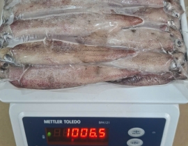 MỰC TRỨNG GHIM 9/12 VỈ 1KG ĐỦ KG LÔ NHẬP 19/04/2026