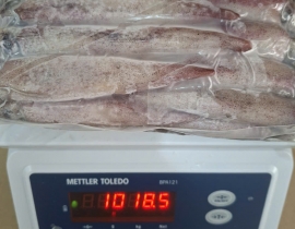 MỰC TRỨNG GHIM 9/12 VỈ 1KG ĐỦ KG LÔ NHẬP 19/04/2026