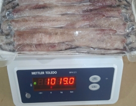 MỰC TRỨNG GHIM 9/12 VỈ 1KG ĐỦ KG LÔ NHẬP 19/04/2026