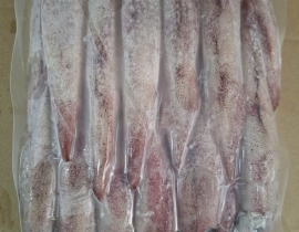 MỰC TRỨNG GHIM 9/12 VỈ 1KG ĐỦ KG LÔ NHẬP 19/04/2026