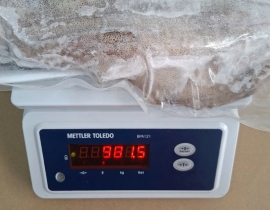 MỰC LÁ VIỆT NAM SIZE 500UP IQF ĐỦ KG LÔ NHẬP 14/04/2026