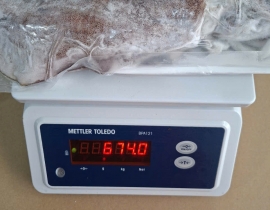 MỰC LÁ VIỆT NAM SIZE 500UP IQF ĐỦ KG LÔ NHẬP 14/04/2026