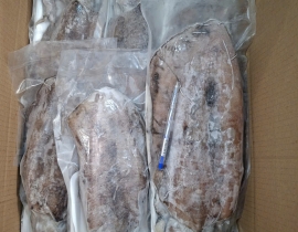 MỰC LÁ VIỆT NAM SIZE 500UP IQF ĐỦ KG LÔ NHẬP 14/04/2026