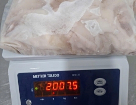 Vụn đuôi mực đại dương làm sạch