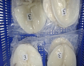 MỰC LÁ LÀM SẠCH DẠNG 1 NẮNG 