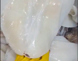 Mực lá làm sạch chẻ bụng