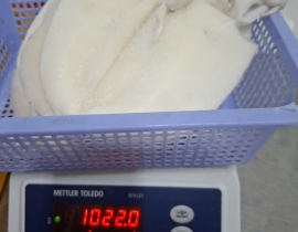 Mực lá làm sạch chẻ bụng