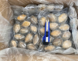 BÀO NGƯ NGUYÊN CON (THÙNG TRẮNG XANH) CONT NGÀY 12/04/2026