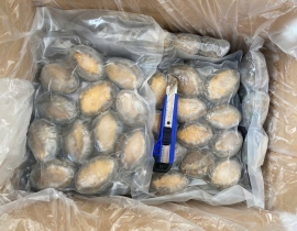 BÀO NGƯ NGUYÊN CON (THÙNG TRẮNG XANH) CONT NGÀY 12/04/2026