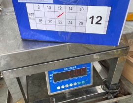 BÀO NGƯ NGUYÊN CON (THÙNG TRẮNG XANH) CONT NGÀY 12/04/2026