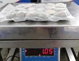 BÀO NGƯ NGUYÊN CON (THÙNG TRẮNG XANH) CONT NGÀY 12/04/2026