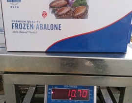 BÀO NGƯ NGUYÊN CON (THÙNG TRẮNG XANH) CONT NGÀY 12/04/2026