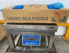 CÁ CAM NHẬT UENO 700-1200. THÙNG 15KG