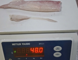MỰC TRỨNG 12UP LÀM SẠCH TÚI 5KG ĐỦ KG