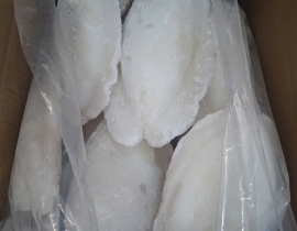 MỰC NANG LÀM SẠCH SIZE 500-1000G NET 7