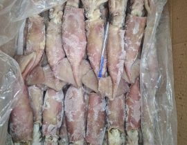 MỰC ỐNG INDO 200-300G ĐÓNG XÔ ĐỦ KG LÔ NHẬP NGÀY 25/04/2026