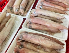 MỰC ỐNG MINO 10-12 CON / KG LÔ NHẬP 13/4/2026