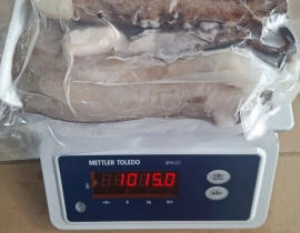 RÂU TUỘC TƯƠI ĐẠI DƯƠNG VỈ 1KG N8 (ĐÃ BAO GỒM MẠ BĂNG)