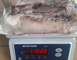 RÂU TUỘC TƯƠI ĐẠI DƯƠNG VỈ 1KG N8 (ĐÃ BAO GỒM MẠ BĂNG)