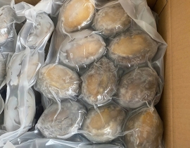 BÀO NGƯ NGUYÊN CON (THÙNG XANH HG) CONT NGÀY 19/05/2026