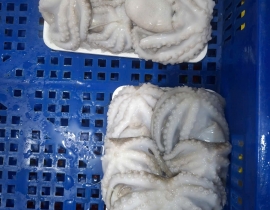 BẠCH TUỘC LÀM SẠCH SIZE 8-12 CON NET 8