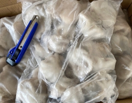 BẠCH TUỘC 10-20 TÚI 2KG N7 (ĐÃ BAO GỒM MẠ BĂNG)