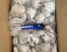 BẠCH TUỘC 10-20 TÚI 2KG N7 (ĐÃ BAO GỒM MẠ BĂNG)