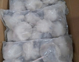 BẠCH TUỘC 2 DA SIZE 100-200G TÚI 2KG NET 7