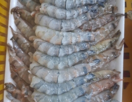 Nõn tôm sú loại 1