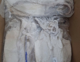 MỰC LÁ 1 NẮNG 2 CON /kg