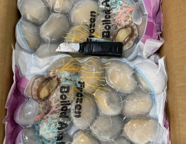 BÀO NGƯ NGUYÊN CON (THÙNG ĐEN) CONT NGÀY 12/04/2026