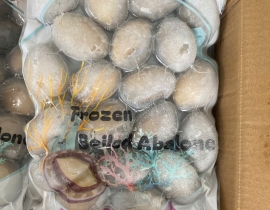 BÀO NGƯ NGUYÊN CON (THÙNG ĐEN) CONT NGÀY 12/04/2026