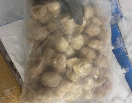 Răng mực nang 80-100 cái đủ kg