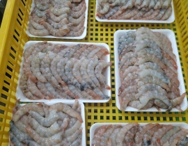 Nõn sú loại 2 size 40-50 net 7