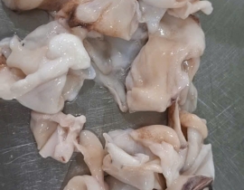 Vụn đuôi mực đại dương làm sạch