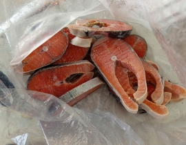 CÁ HỒI CHILE COHO CẮT KHOANH 1 CM