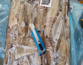 Mực ống argentina 300g up