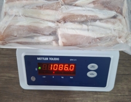 Đuôi mực vỉ 1 kg net 8