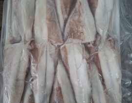 Đuôi mực vỉ 1 kg net 8