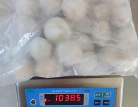 RĂNG MỰC 20-40 CÁI MẠ BĂNG NET 7