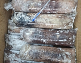 MỰC LÁ CUỘN 2A SIZE 1KG-1.2KG