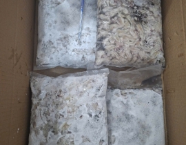 CỔ MỰC LÀM SẠCH TÚI 2KG ĐỦ KG